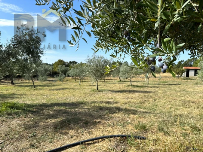 Quinta T0 para Venda em Cebolais de Cima e Retaxo Foto 12