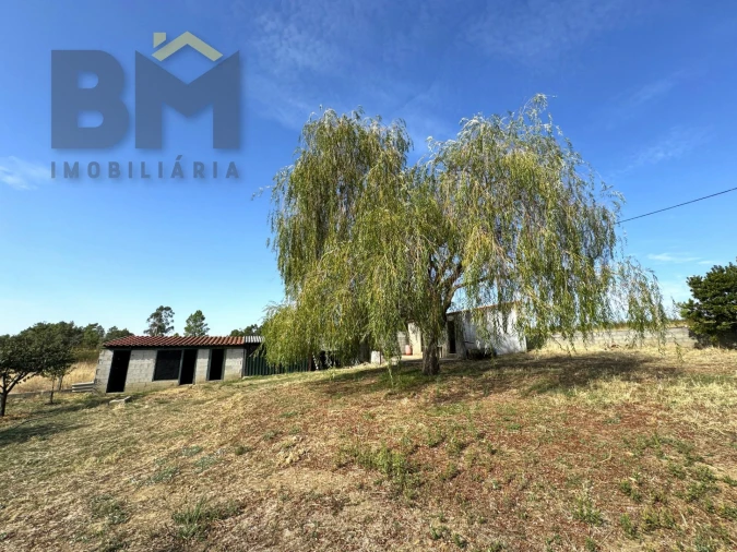 Quinta T0 para Venda em Cebolais de Cima e Retaxo Foto 20