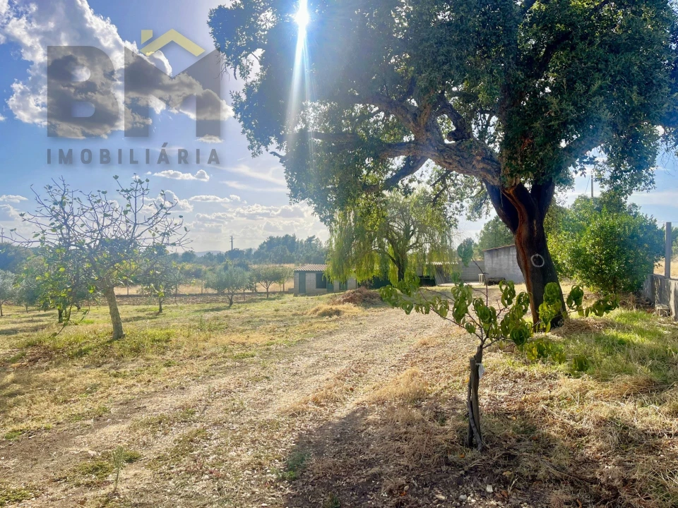 Quinta T0 para Venda em Cebolais de Cima e Retaxo Foto 2