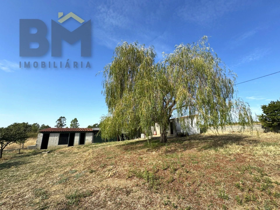 Quinta T0 para Venda em Cebolais de Cima e Retaxo Foto 20
