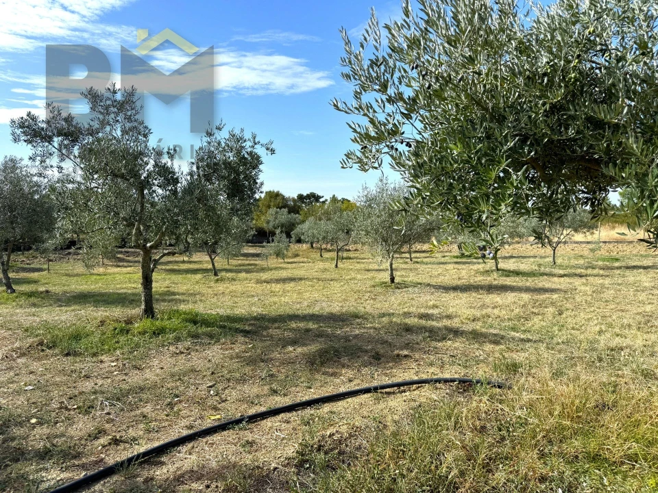 Quinta T0 para Venda em Cebolais de Cima e Retaxo Foto 17