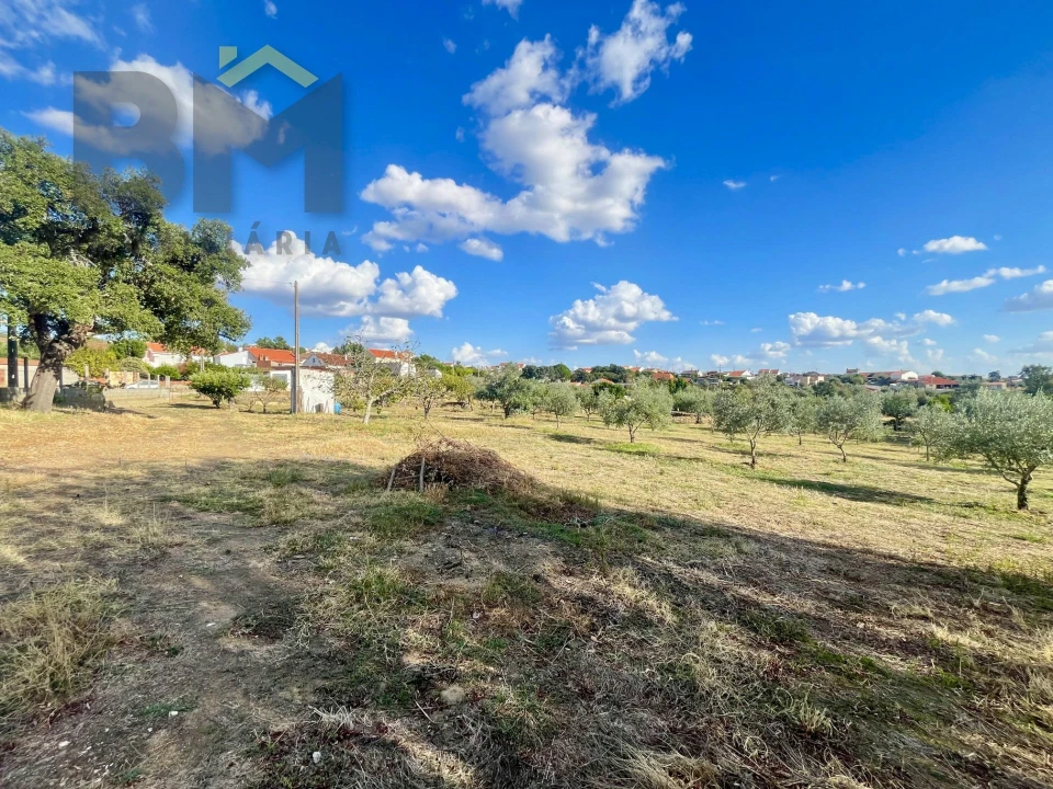 Quinta T0 para Venda em Cebolais de Cima e Retaxo Foto 21