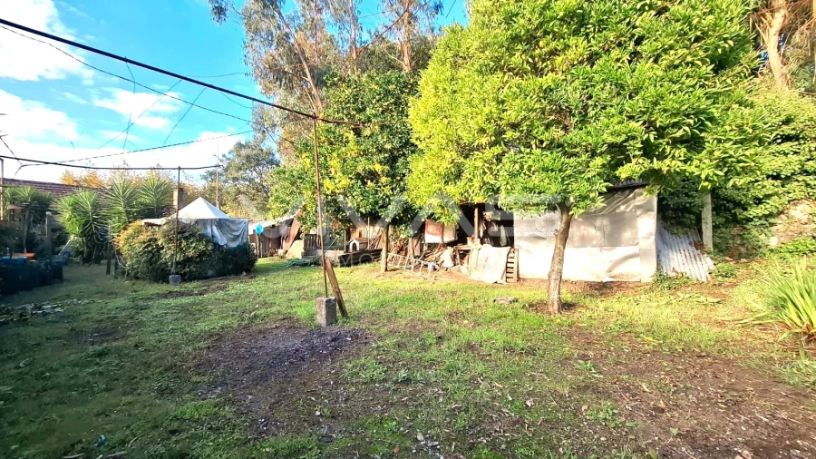 Moradia T3 para Venda em Merelim (São Paio), Panoias e Parada de Tibães Foto 14