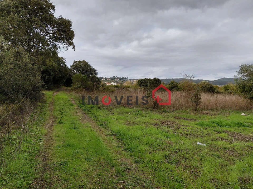 Terreno para Venda em Nossa Senhora das Misericordias Foto 4