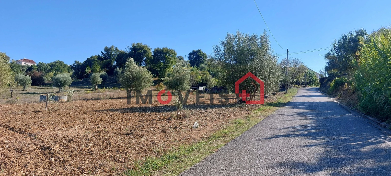 Terreno para Venda em Atouguia Foto 2