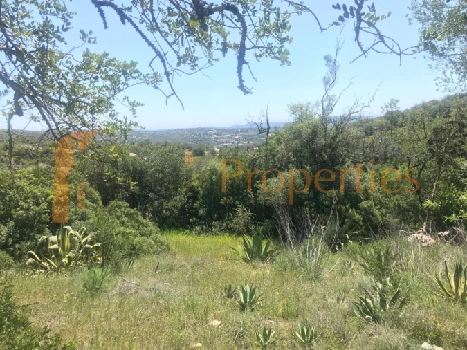 Terreno Agricola ou Rústico para Venda em Loule (São Clemente)
