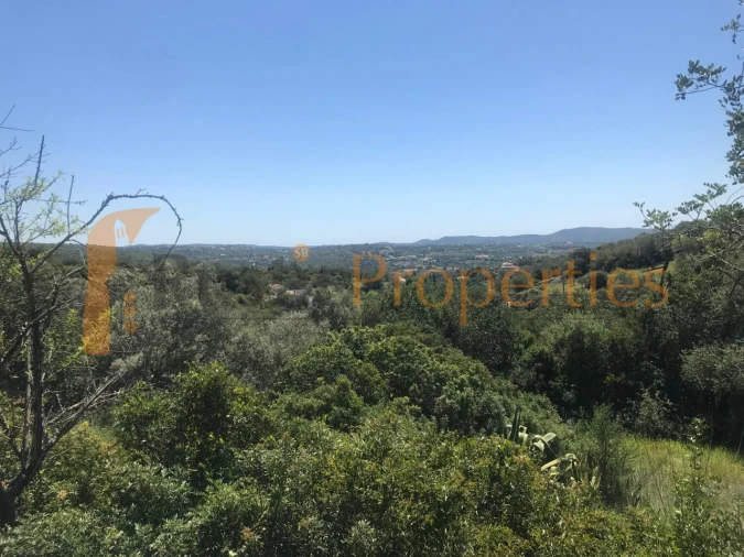 Terreno Agricola ou Rústico para Venda em Loule (São Clemente) Foto 2