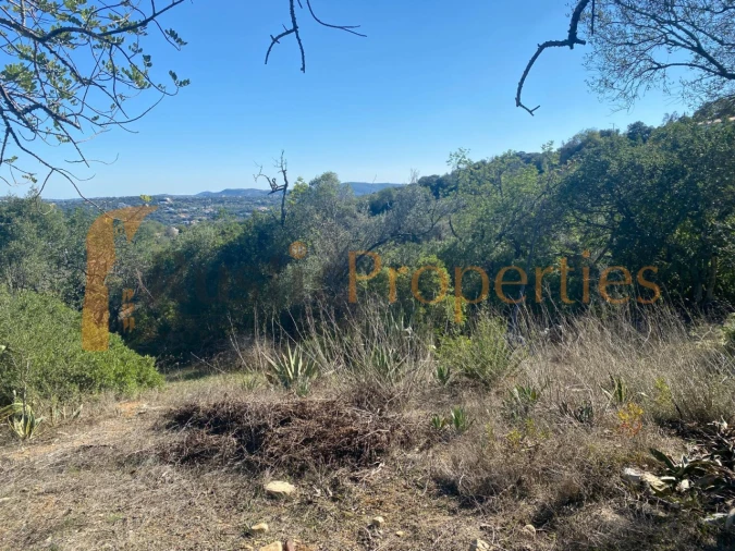 Terreno Agricola ou Rústico para Venda em Loule (São Clemente) Foto 3