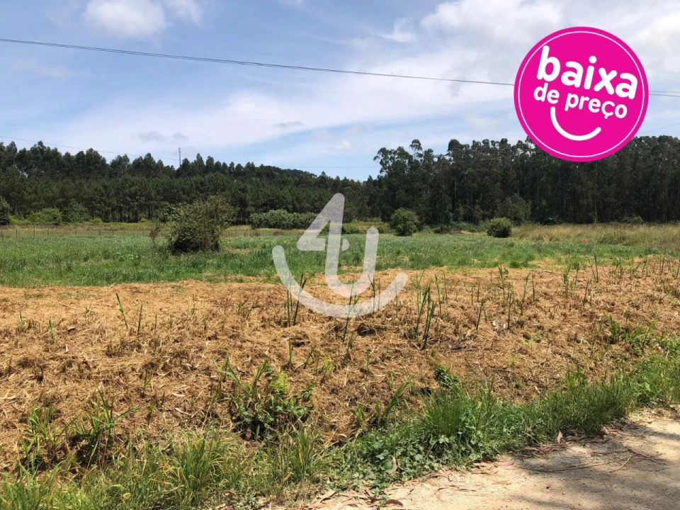 Terreno Agricola ou Rústico para Venda em Alfeizerão Foto 1