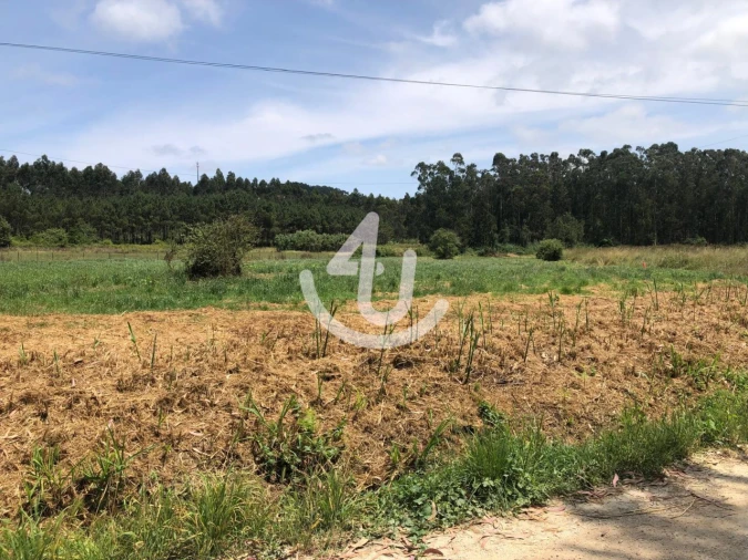Terreno Agricola ou Rústico para Venda em Alfeizerão Foto 2