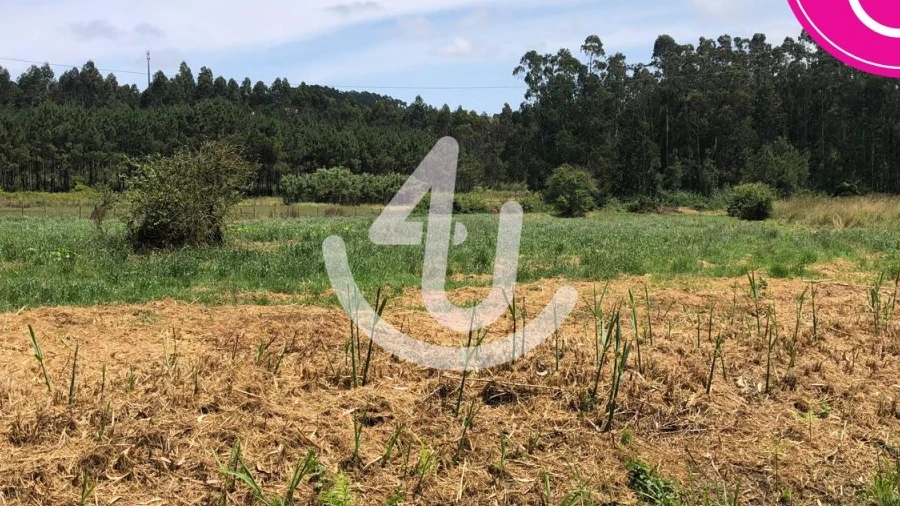 Terreno Agricola ou Rústico para Venda em Alfeizerão