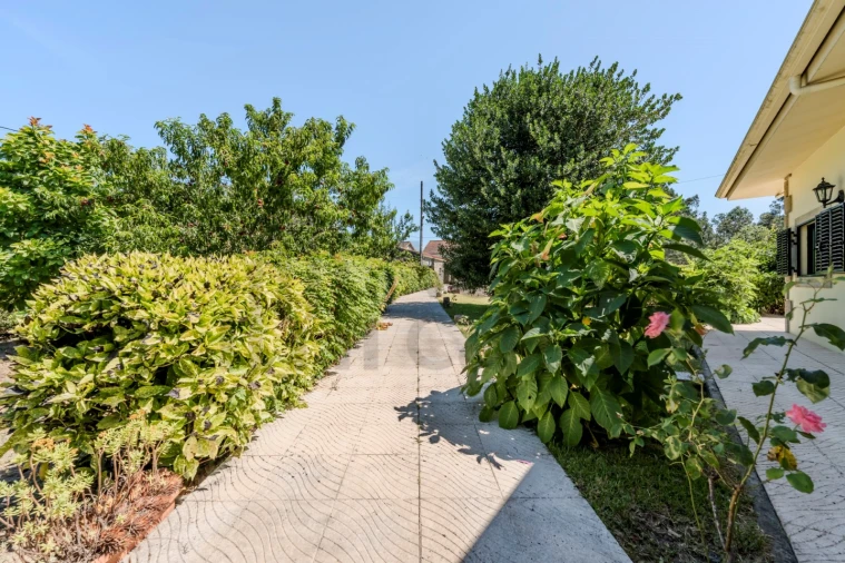 Moradia T4 para Venda em Lago Foto 39