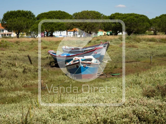 Apartamento T4 para Venda em Gaio-Rosário e Sarilhos Pequenos Foto 32