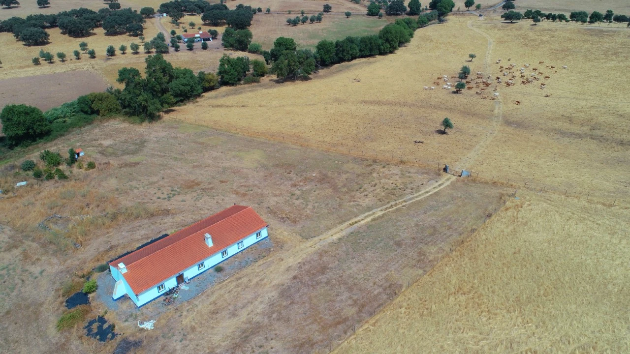 Quinta T4 para Venda em Cabeço de Vide Foto 33