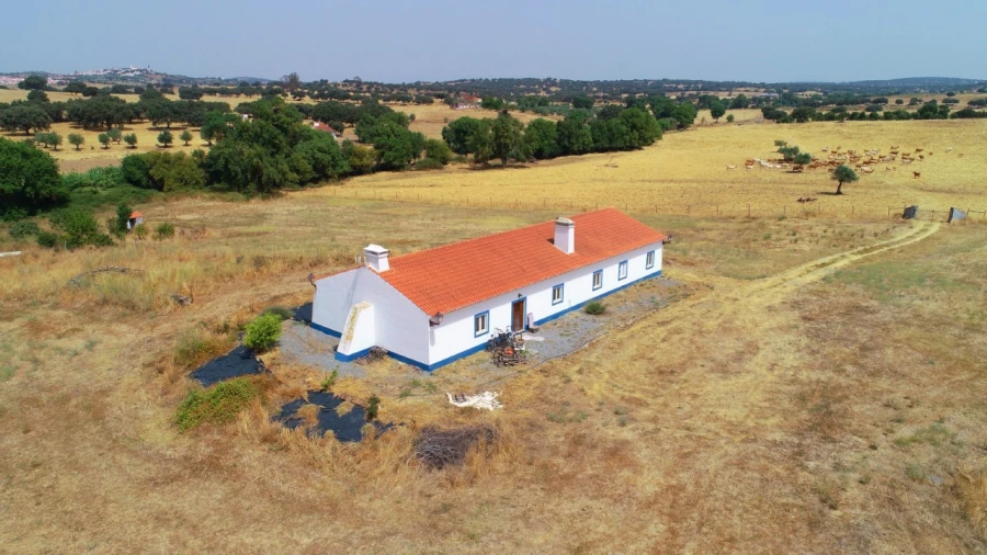 Quinta T4 para Venda em Cabeço de Vide Foto 23