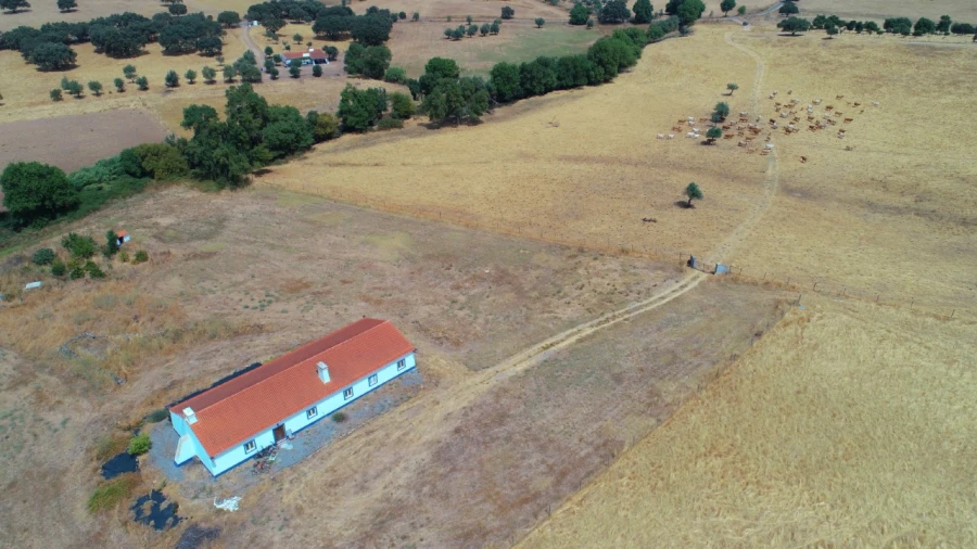Quinta T4 para Venda em Cabeço de Vide Foto 33