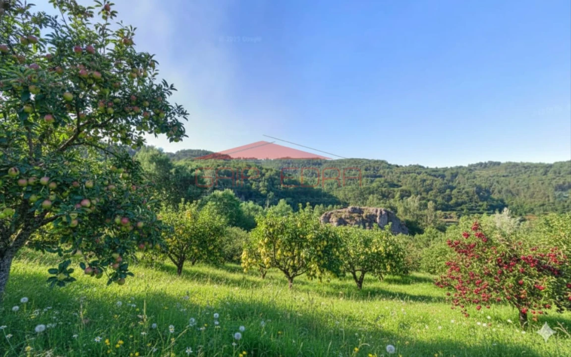 Terreno para Venda em Fornelos Foto 3