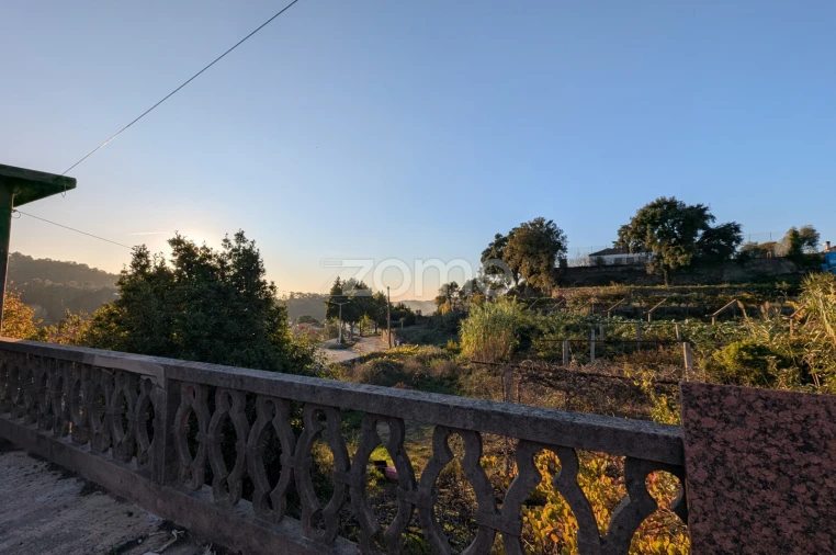 Quinta T6 para Venda em Escariz Foto 40