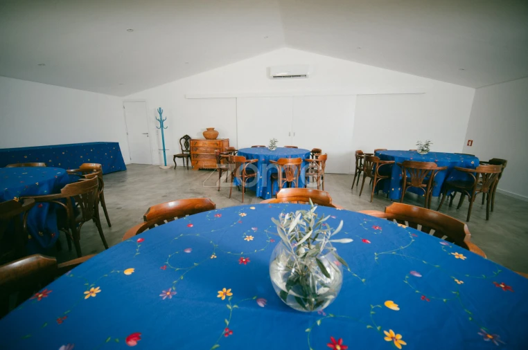 Quinta T3 para Venda em Juncais, Vila Ruiva e Vila Soeiro do Chão Foto 10