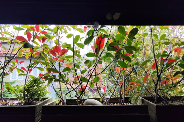 Negócio para Venda em Cedofeita, Santo Ildefonso, Sé, Miragaia, São Nicolau e Vitória Foto 22