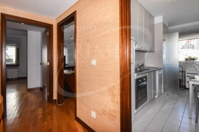 Apartamento T1 para Arrendamento em Aldoar, Foz do Douro e Nevogilde