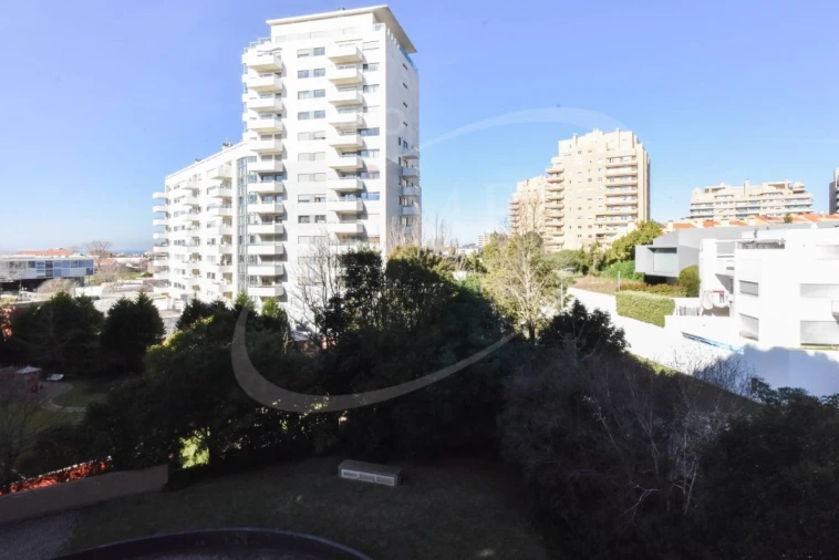 Apartamento T1 para Arrendamento em Aldoar, Foz do Douro e Nevogilde Foto 17