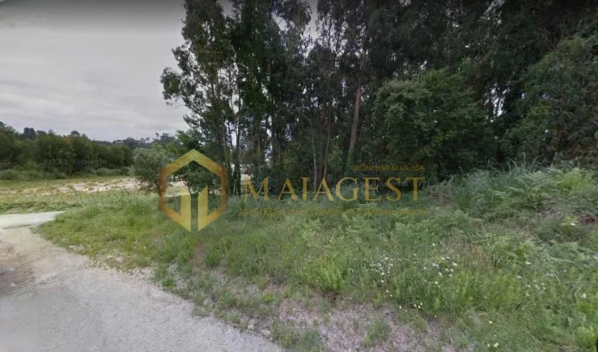 Terreno para Venda em Madalena Foto 6