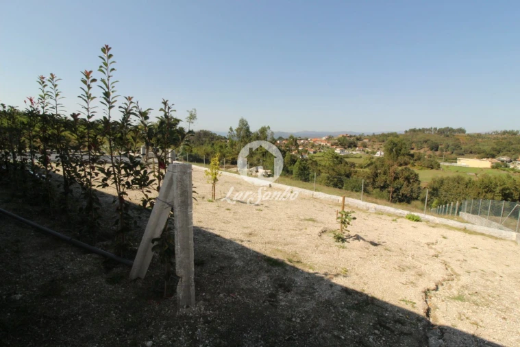 Terreno Agricola ou Rústico para Venda em Monte e Queimadela Foto 8