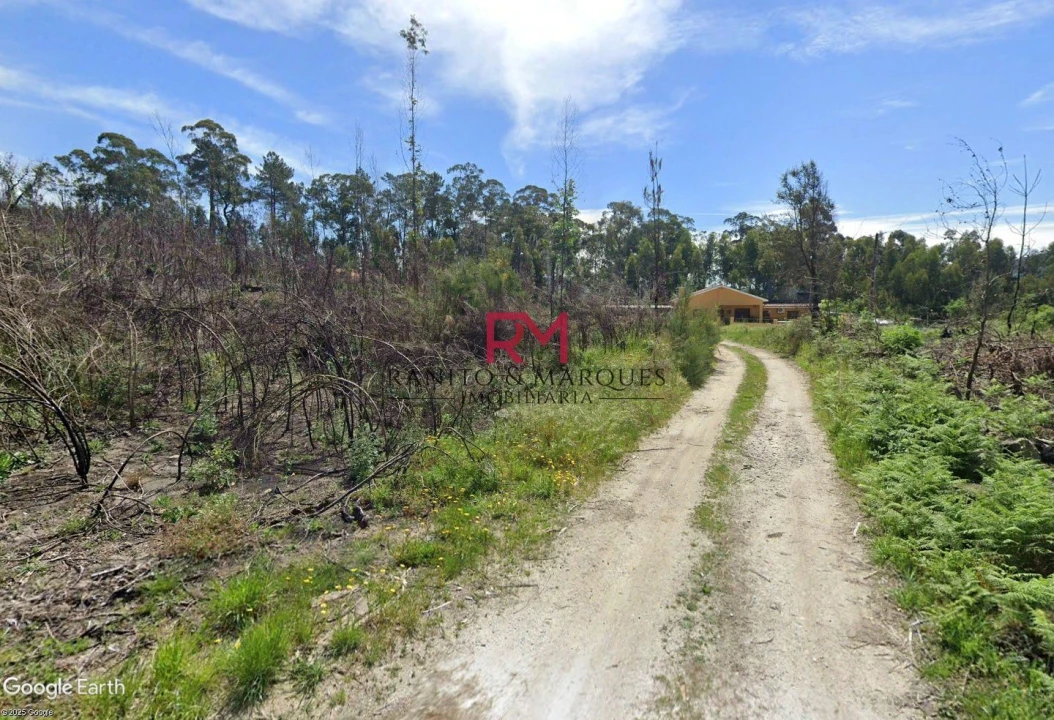 Terreno Agricola ou Rústico para Venda em Guilhufe e Urrô Foto 7