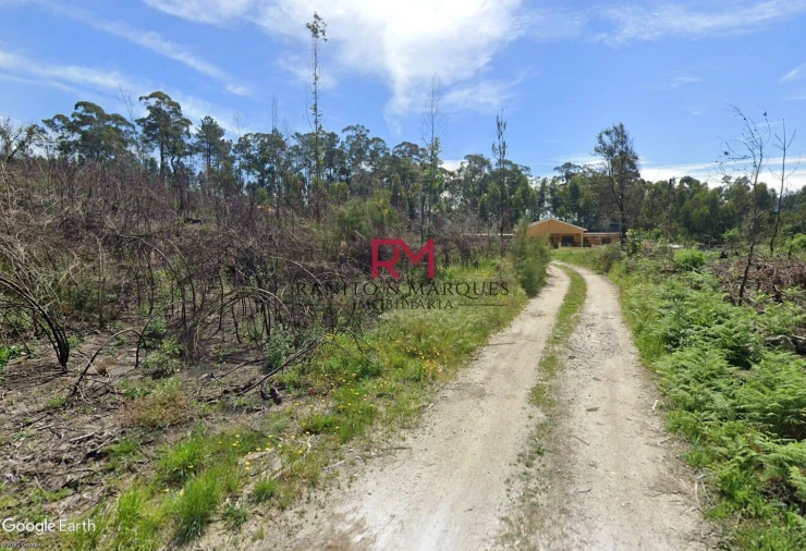 Terreno Agricola ou Rústico para Venda em Guilhufe e Urrô Foto 7
