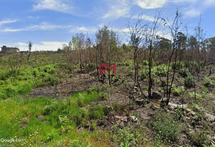 Terreno Agricola ou Rústico para Venda em Guilhufe e Urrô Foto 10
