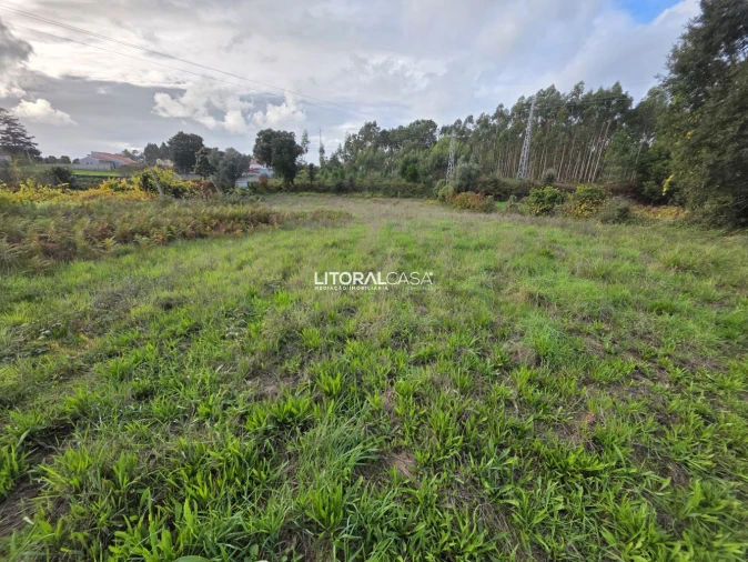 Terreno para Venda em Eixo e Eirol Foto 10