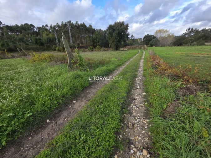 Terreno para Venda em Eixo e Eirol Foto 1