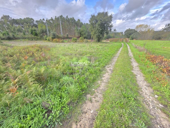 Terreno para Venda em Eixo e Eirol Foto 4