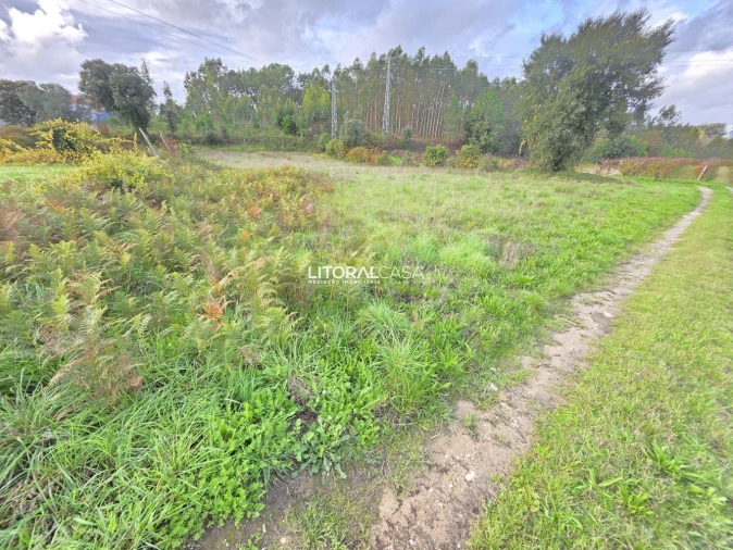 Terreno para Venda em Eixo e Eirol Foto 3