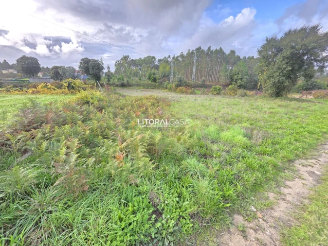 Terreno para Venda em Eixo e Eirol Foto 6