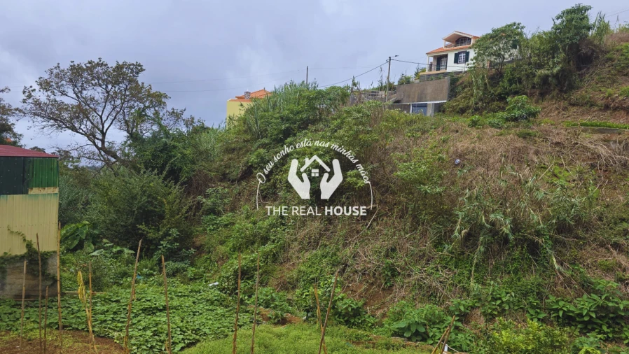 Terreno para Venda em Ponta do Sol