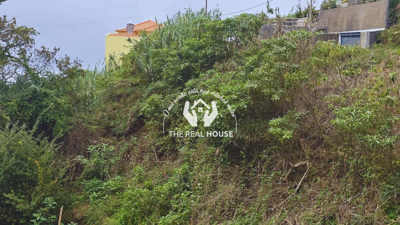 Terreno para Venda em Ponta do Sol Foto 3