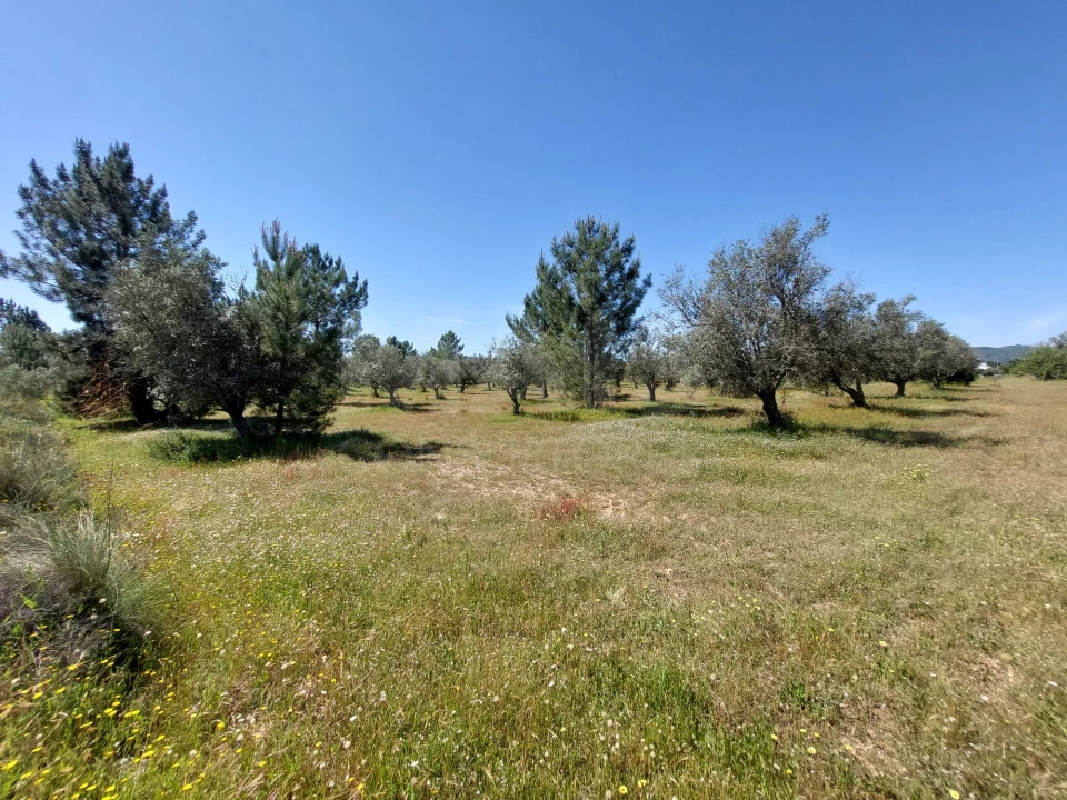 Terreno para Venda em Grândola e Santa Margarida da Serra Foto 5