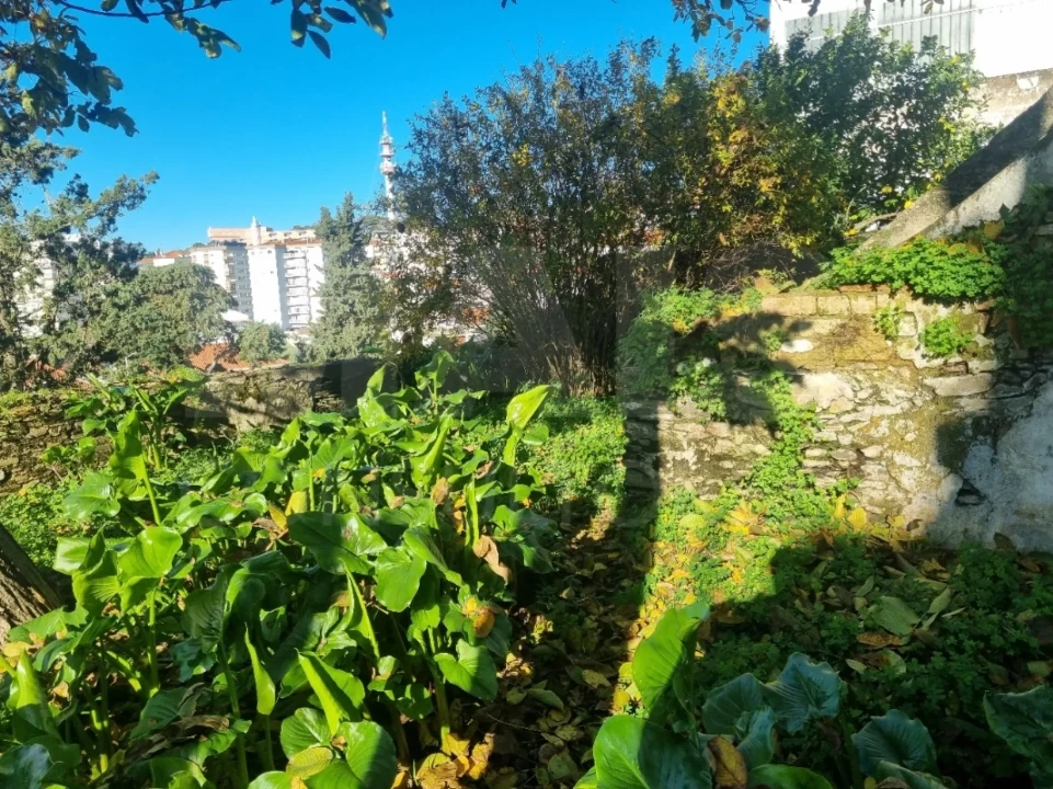 Prédio para Venda em Abrantes (São Vicente e São João) e Alferrarede Foto 5