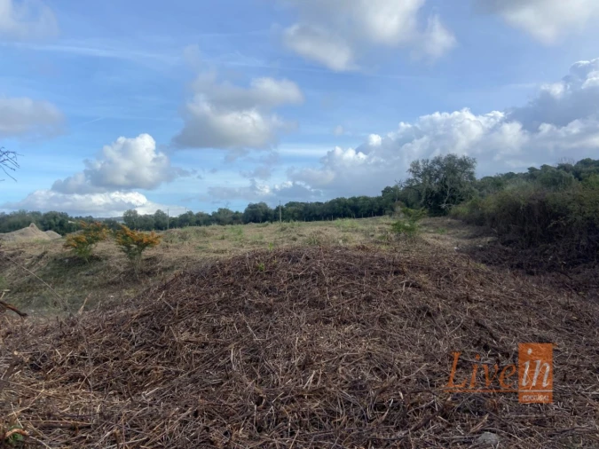 Terreno Agricola ou Rústico para Venda em Almargem do Bispo, Pêro Pinheiro e Montelavar Foto 4
