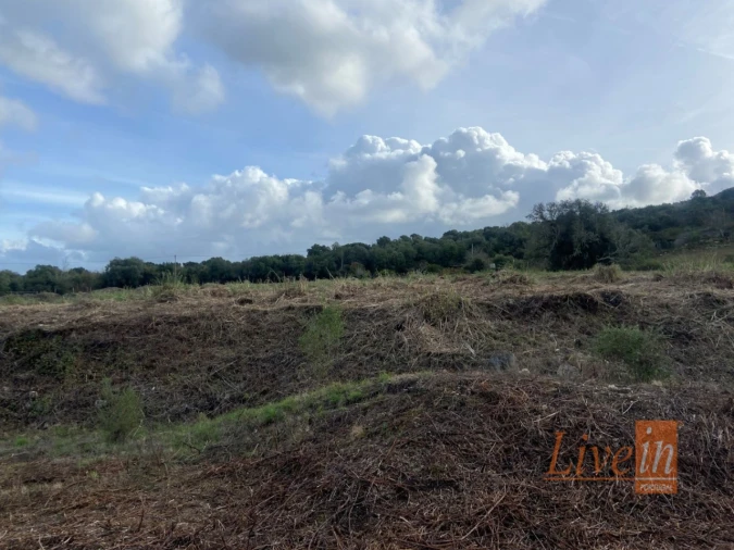 Terreno Agricola ou Rústico para Venda em Almargem do Bispo, Pêro Pinheiro e Montelavar Foto 5