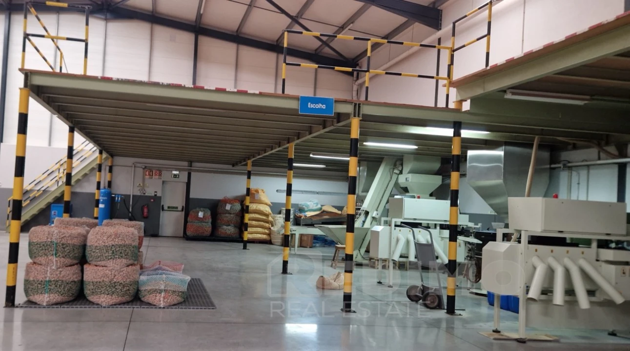 Armazém para Arrendamento em Rio Meão Foto 18