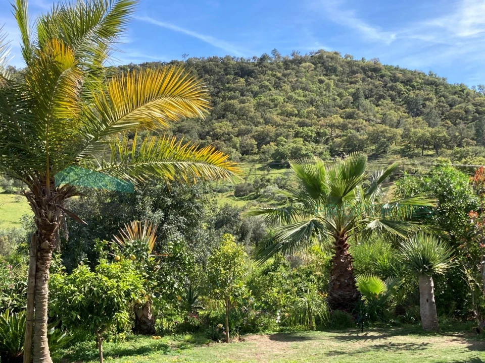 Moradia T2 para Venda em Alte Foto 29