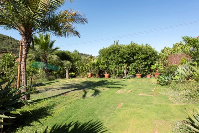 Moradia T2 para Venda em Alte Foto 25