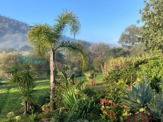 Moradia T2 para Venda em Alte Foto 28