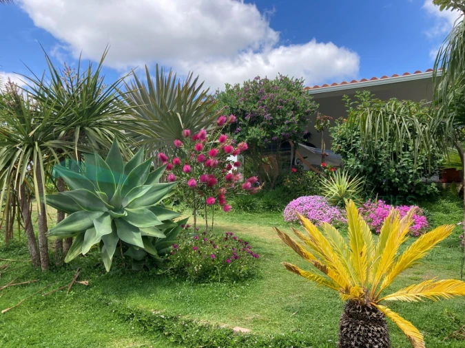 Moradia T2 para Venda em Alte Foto 23