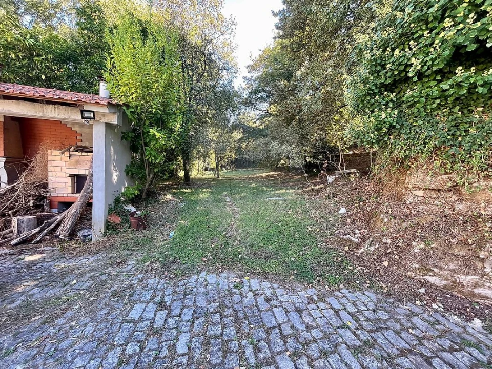 Quinta T4 para Venda em Várzea, Aliviada e Folhada Foto 23