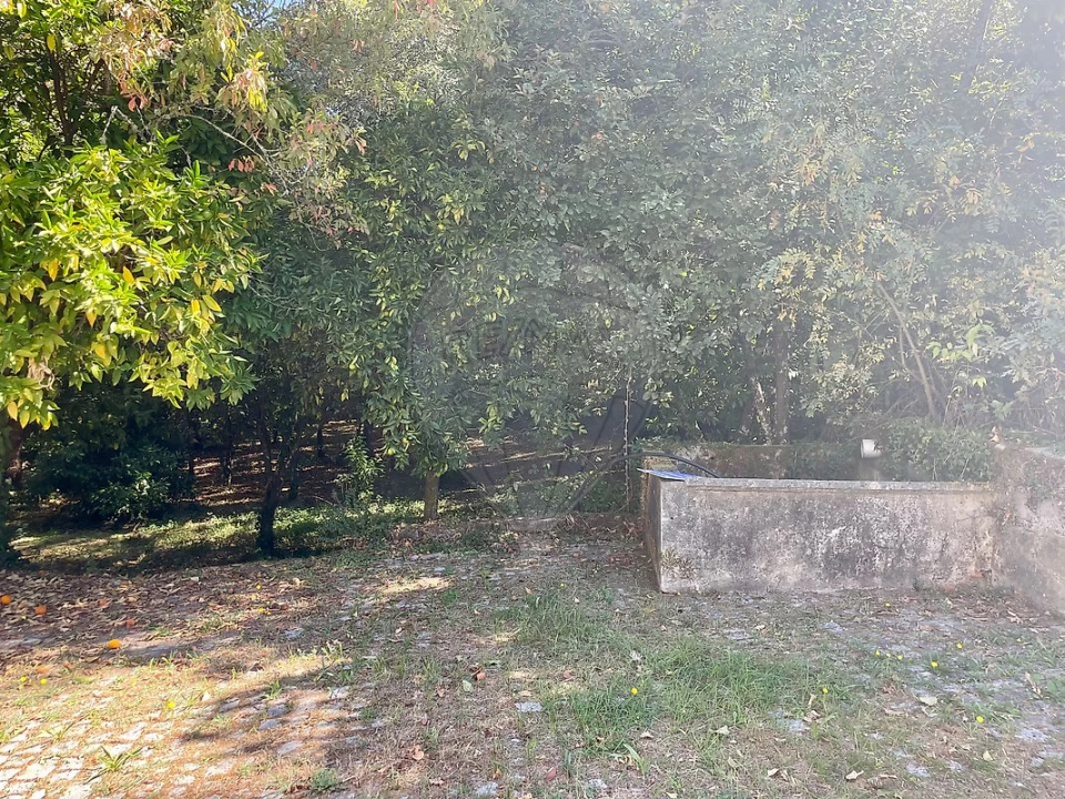 Quinta T4 para Venda em Várzea, Aliviada e Folhada Foto 25