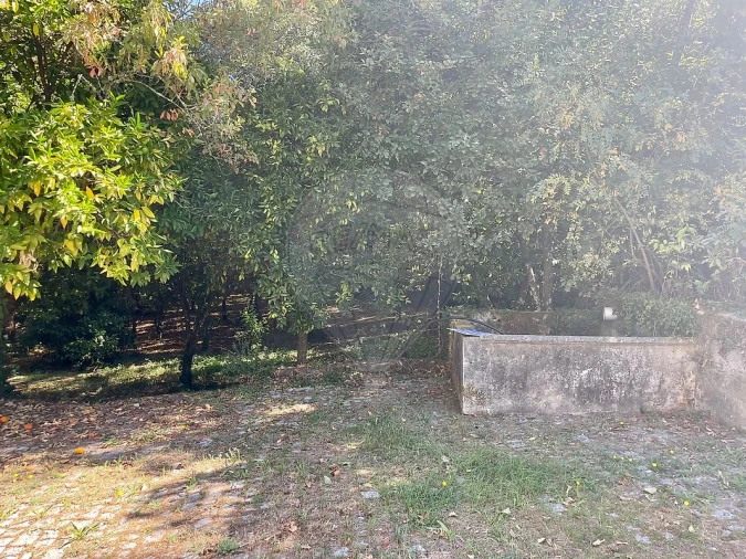 Quinta T4 para Venda em Várzea, Aliviada e Folhada Foto 25